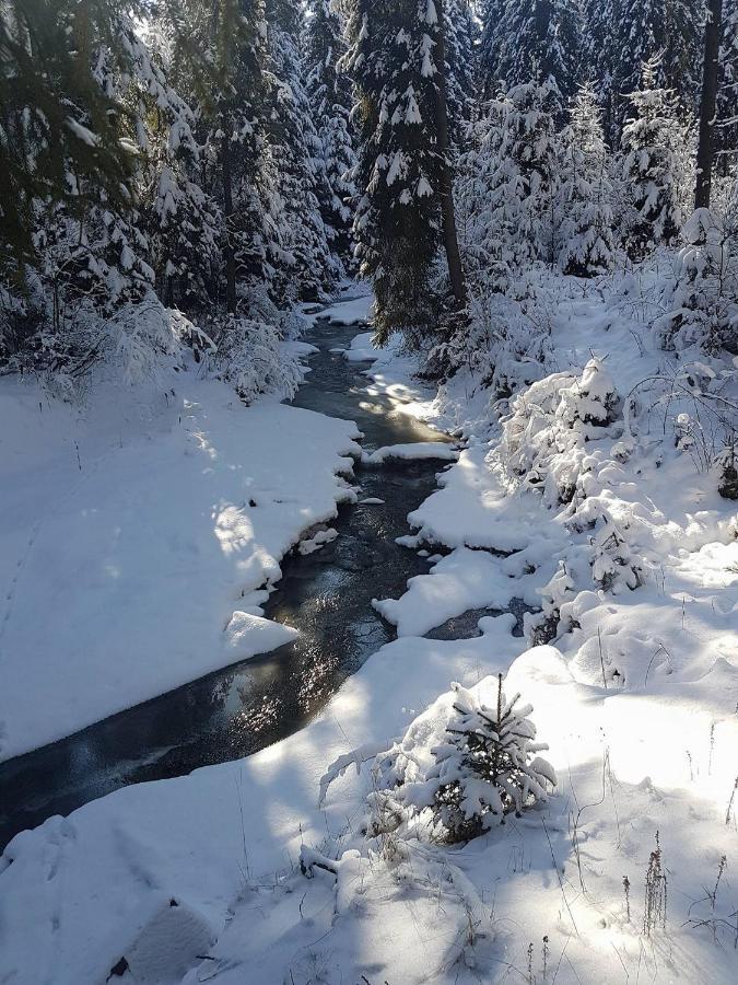 Skalny Zakatek Z Grota Solna Na Wylacznosc Лапше-Нижне Экстерьер фото